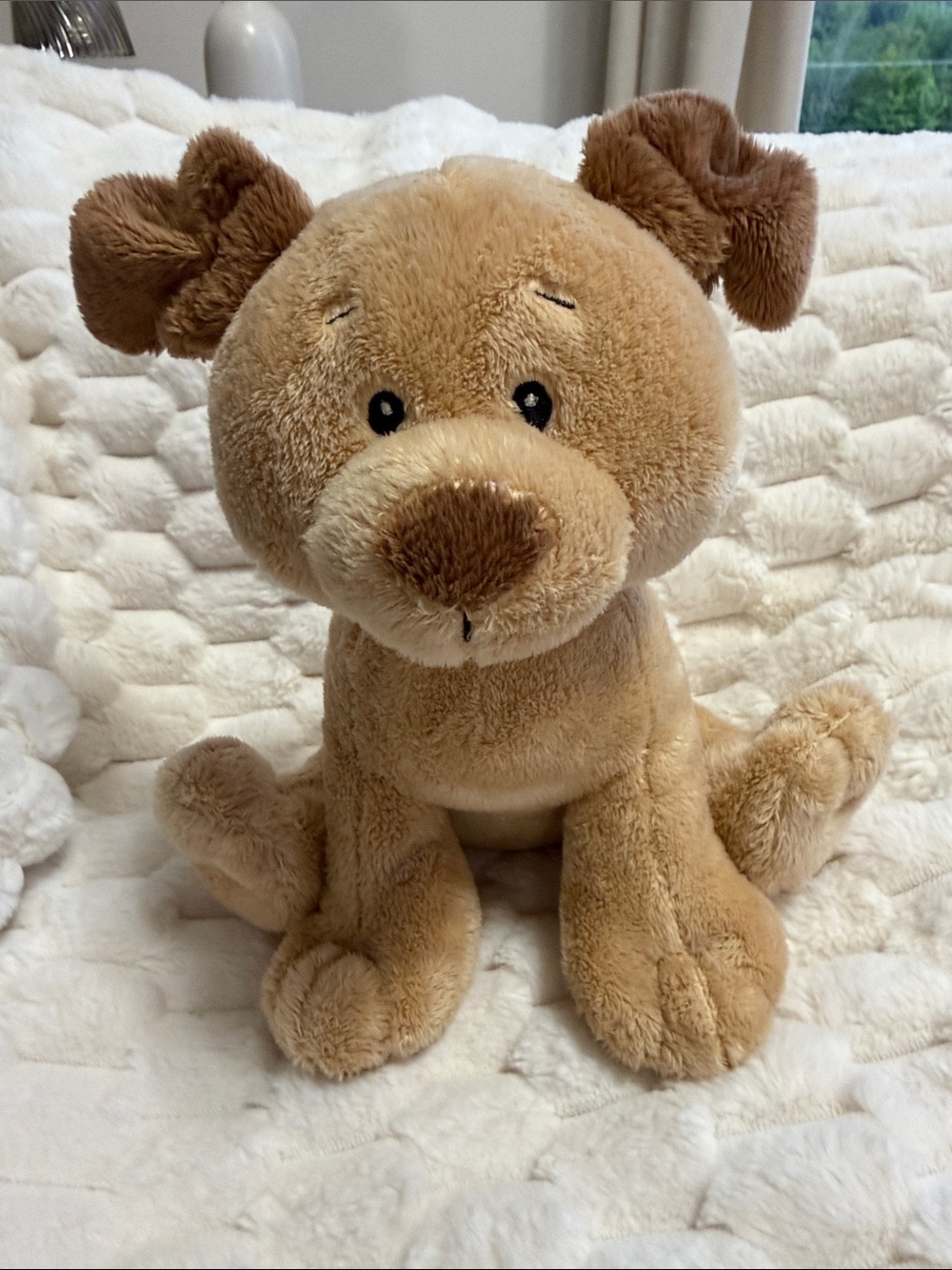Baby Ganz Doggy Socks Sitting Puppy Dog Plush 10”